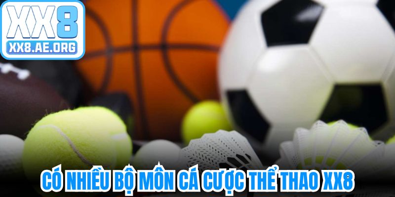 Có nhiều bộ môn cá cược thể thao XX8