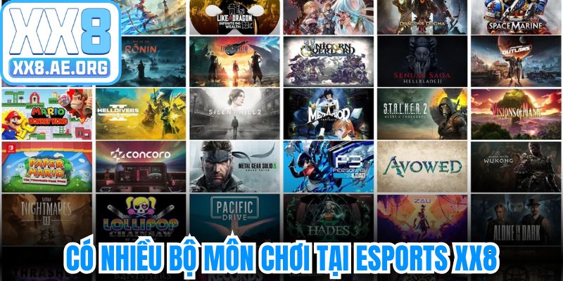 Có nhiều bộ môn chơi tại Esports XX8