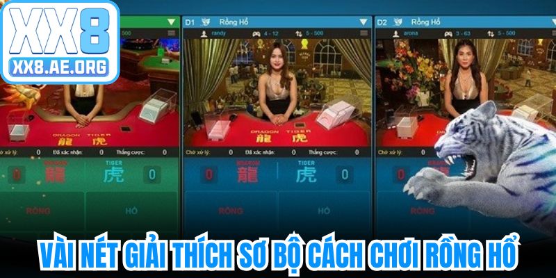 Vài nét giải thích sơ bộ về game cách chơi rồng hổ